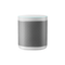 Smart Speaker