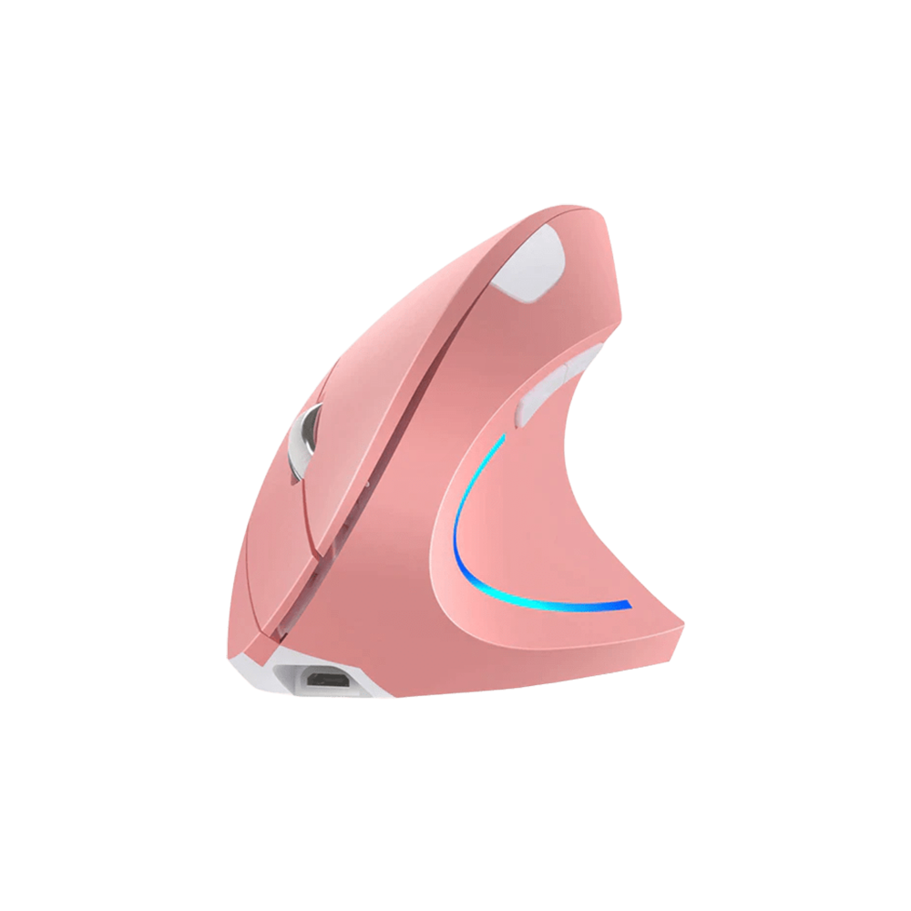 Ergonomic Mouse for PC