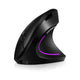 Ergonomic Mouse for PC